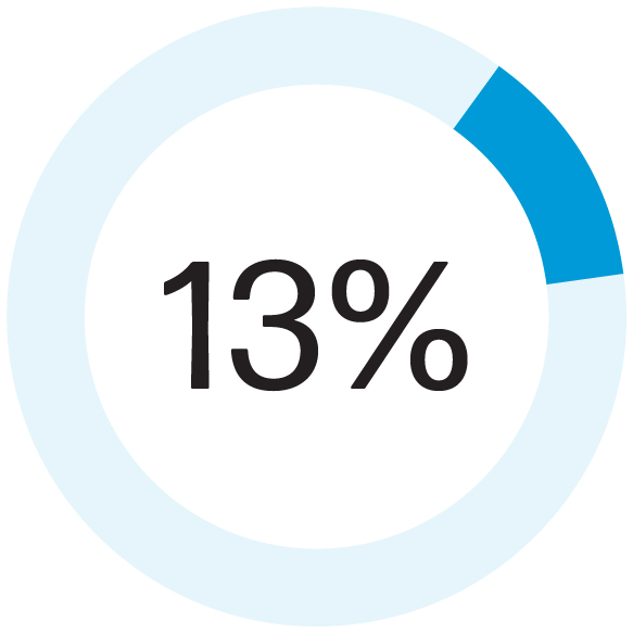 03 PRO013299_pie_components of compensation_annual incentive.jpg